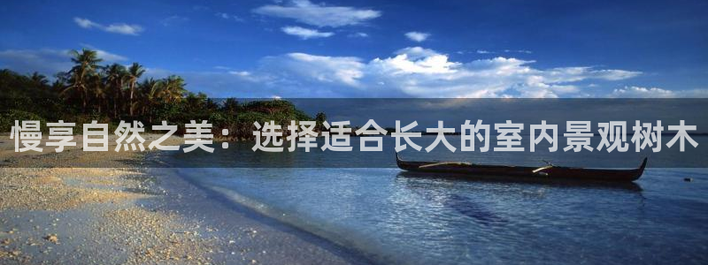 卧龙娱乐彩票官网下载