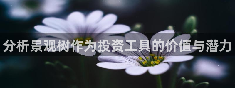 卧龙娱乐3月10日开