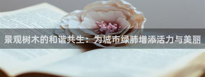 卧龙吟娱乐玩法