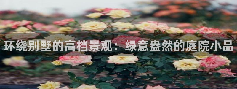 卧龙娱乐在线直播网页