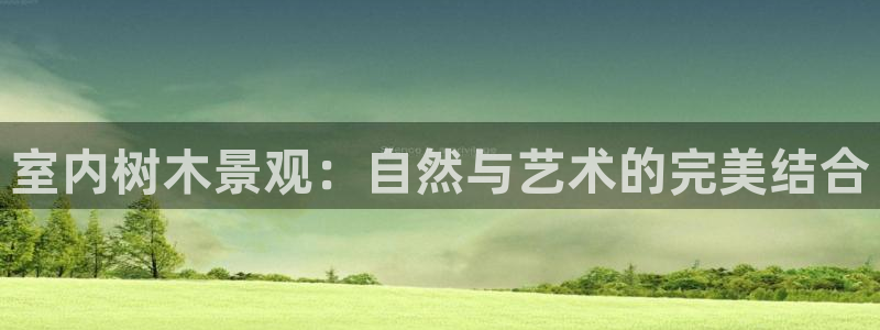 卧龙娱乐挂机