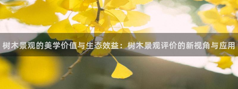 卧龙娱乐在线下载游戏