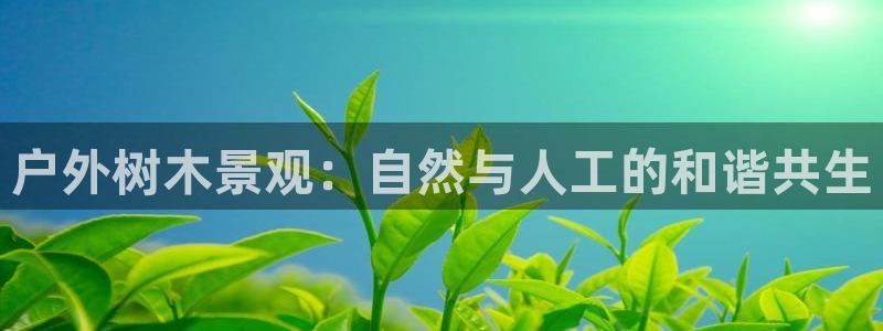 卧龙娱乐在线直播观看