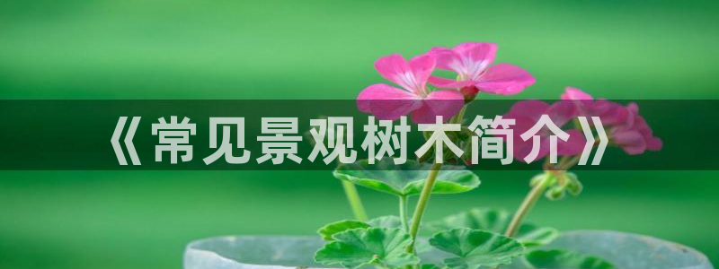 卧龙娱乐可靠吗