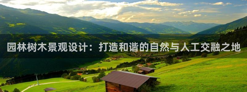 卧龙娱乐号