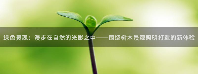 qq娱乐 卧龙主管60447
