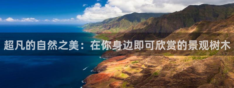 卧龙娱乐地