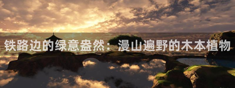 卧龙娱乐在线直播网站