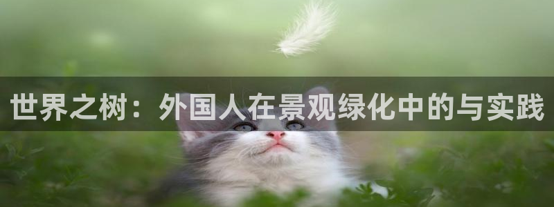 卧龙凤锄娱乐演员