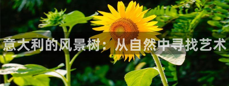 at娱乐 0 47卧龙