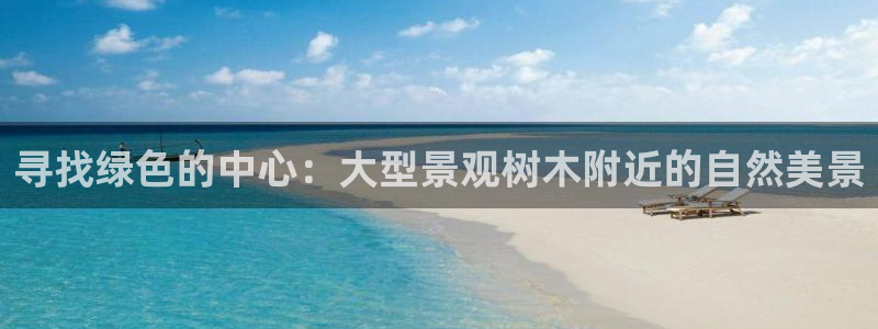 卧龙娱乐在线直播网