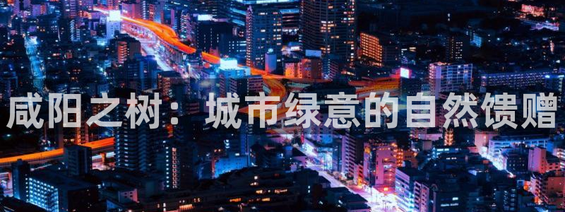 卧龙水上娱乐