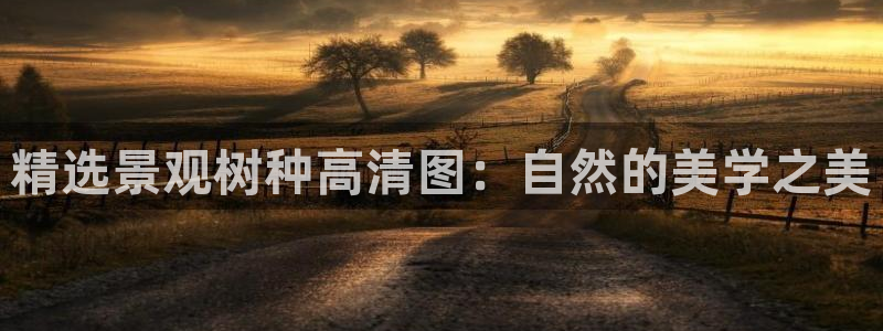 卧龙镇娱乐