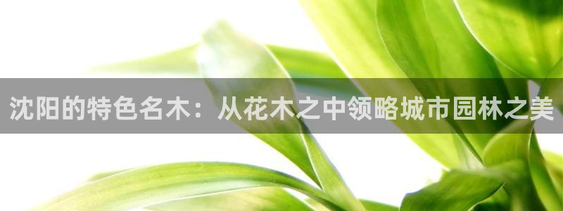 卧龙娱乐挂机平台官网
