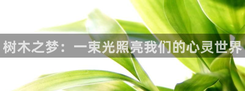 凤岗卧龙台球娱乐会所