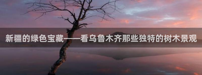卧龙吟娱乐玩法