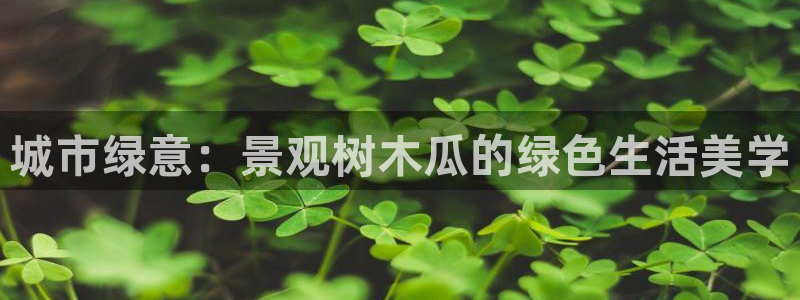 卧龙娱乐场所