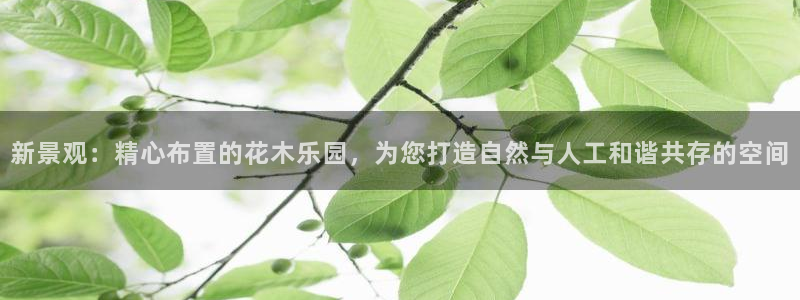 卧龙娱乐集团