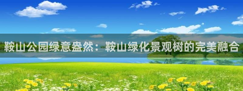 卧龙娱乐老板是谁呀图片