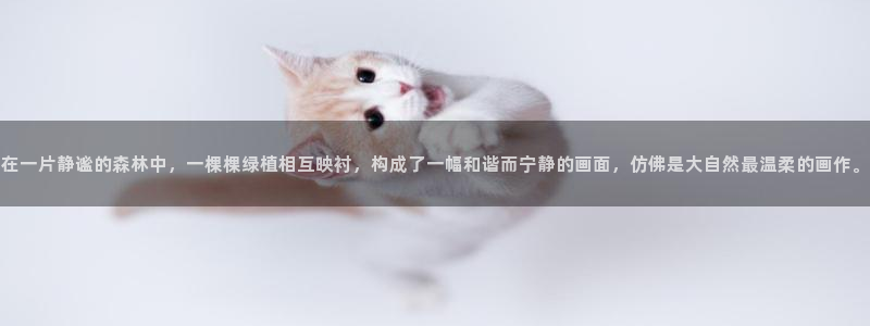 卧龙娱乐app下载苹果