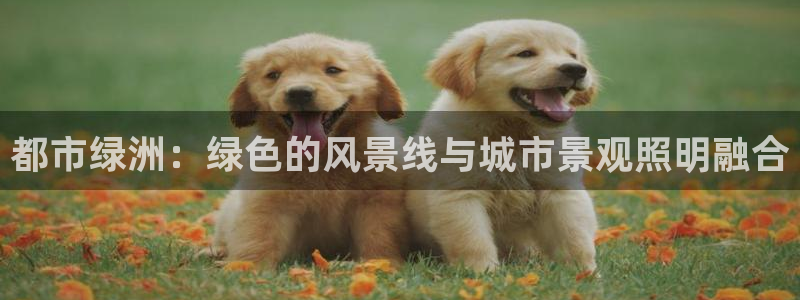 hr娱乐 扣卧龙60447