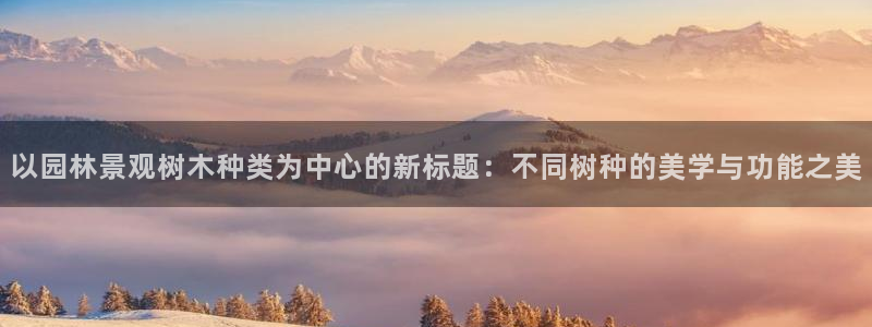 卧龙娱乐挂机软件