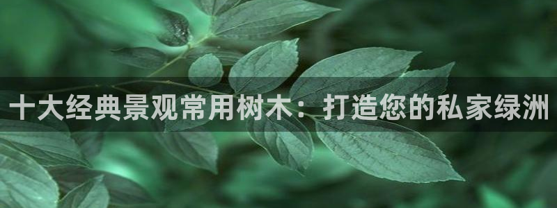 柏林娱乐 柏林卧龙 0