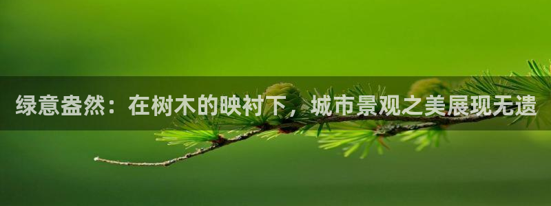 卧龙娱乐老板是谁呀视频