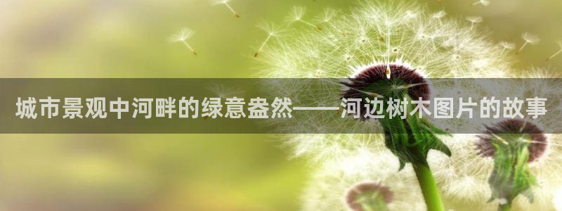 太和卧龙娱乐会所