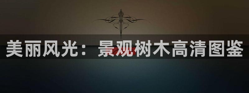 卧龙娱乐违法吗：美丽风光：景观树木高清图鉴