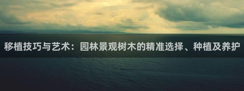 卧龙岗娱乐馆