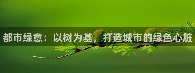 SKY娱乐卧龙招商60447