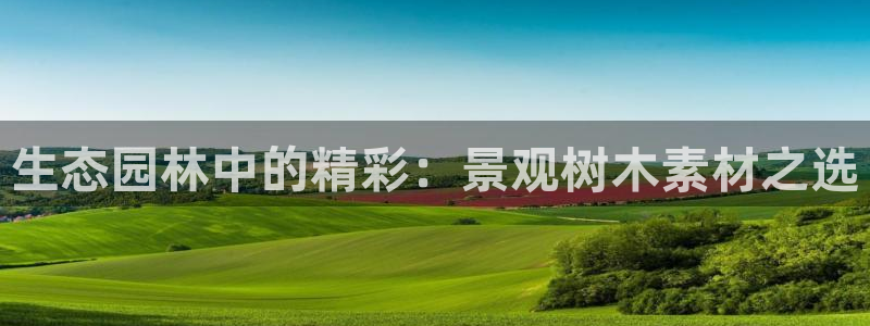 卧龙娱乐集团