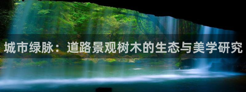 卧龙沙滩蹦床娱乐:城市绿脉:道路景观树木的生态与美学研究